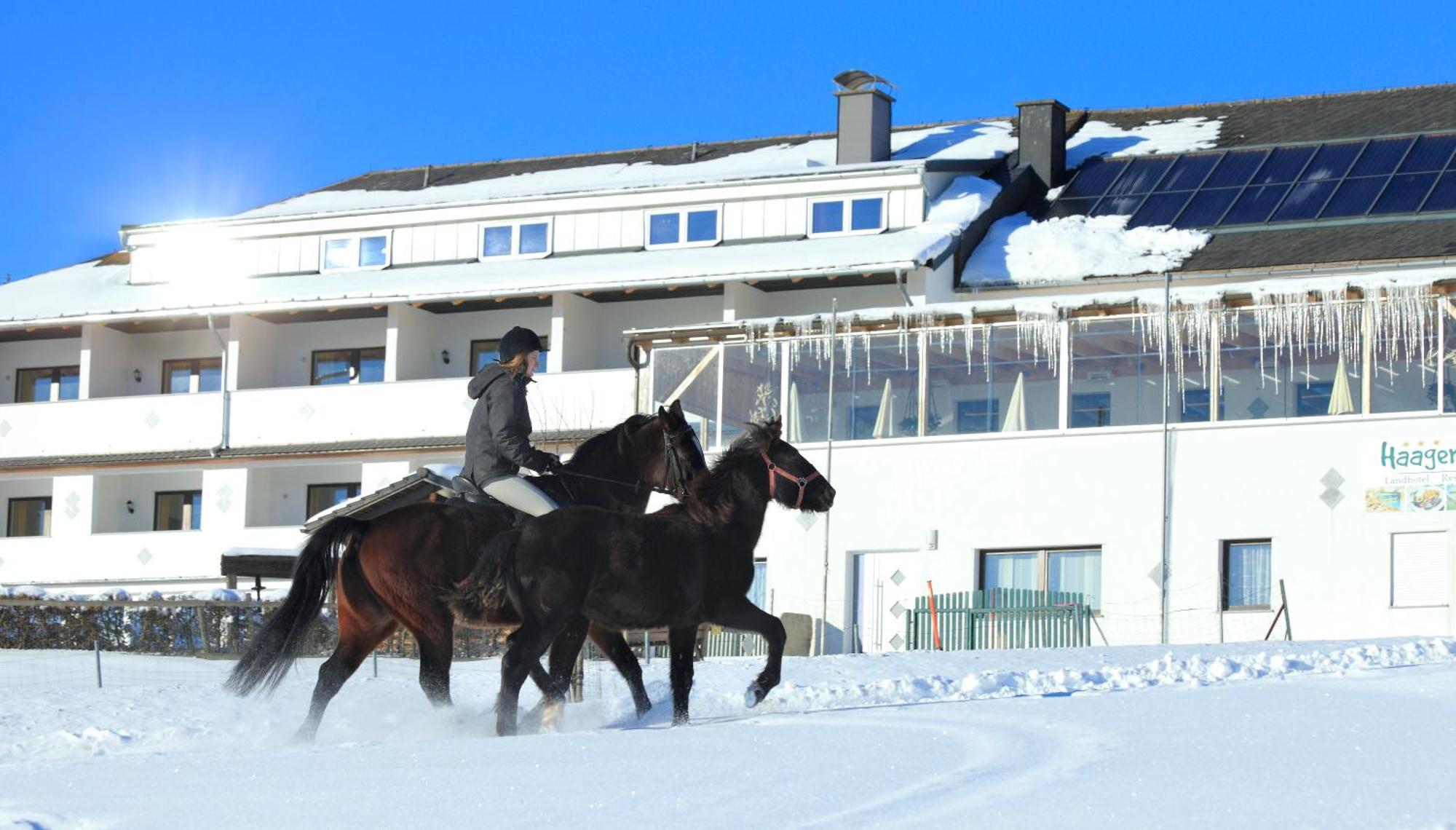 Landhotel Haagerhof Aigen im Muehlkreis Экстерьер фото