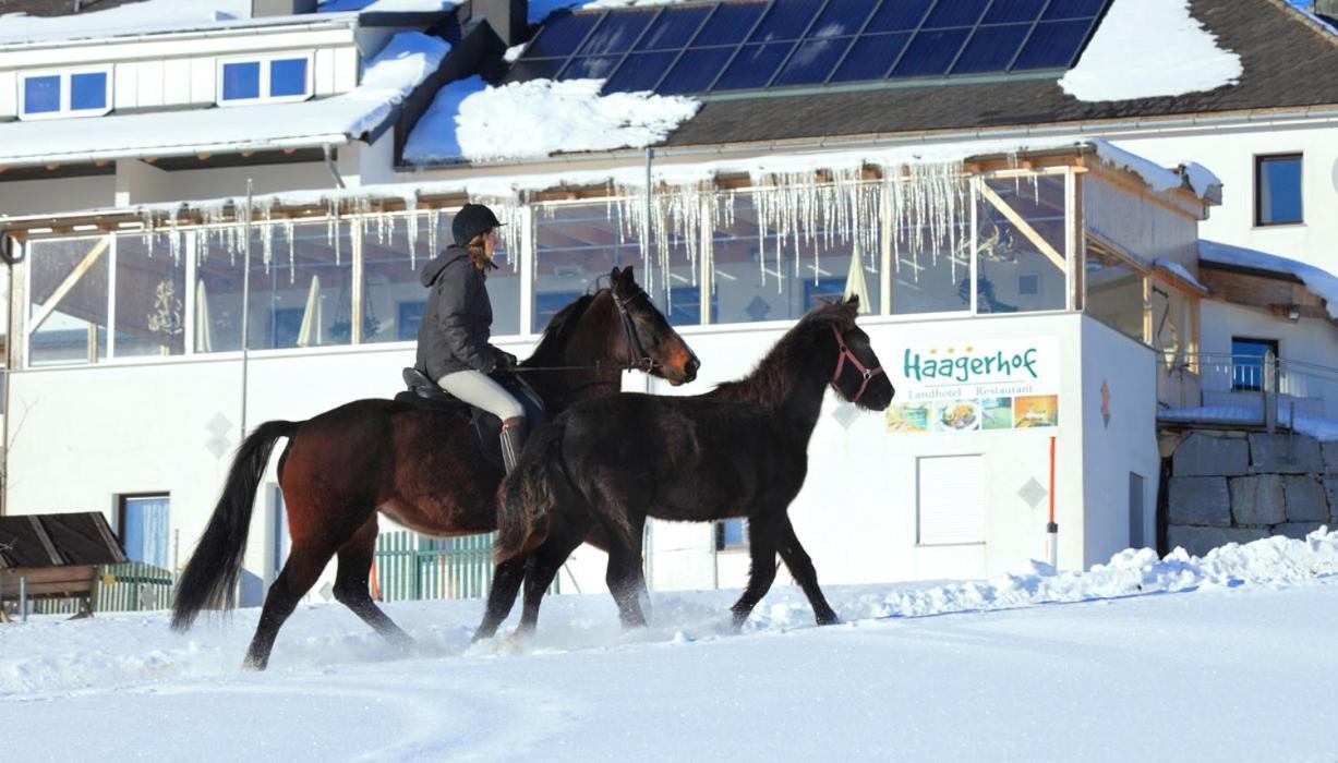 Landhotel Haagerhof Aigen im Muehlkreis Экстерьер фото